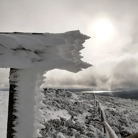 Casa Do Loureiro Paradela