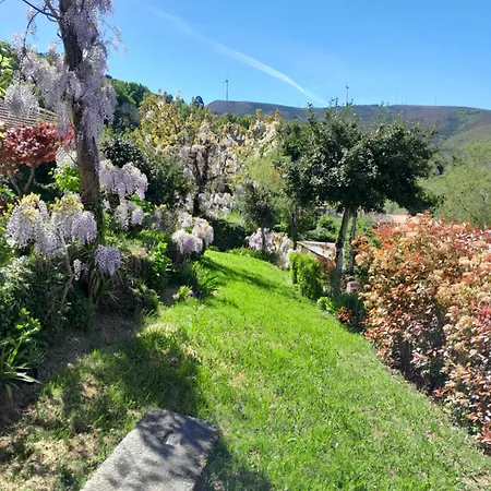 Casa Do Loureiro Holiday home