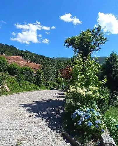 Casa Do Loureiro 別荘 *