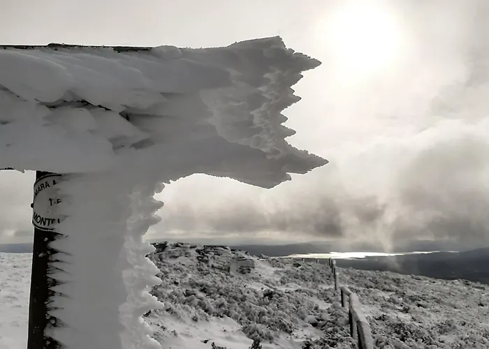 Casa Do Loureiro Paradela (Vila Real)